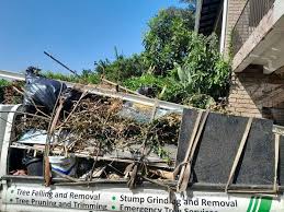 Best Hoarding Cleanup  in Ravenel, SC